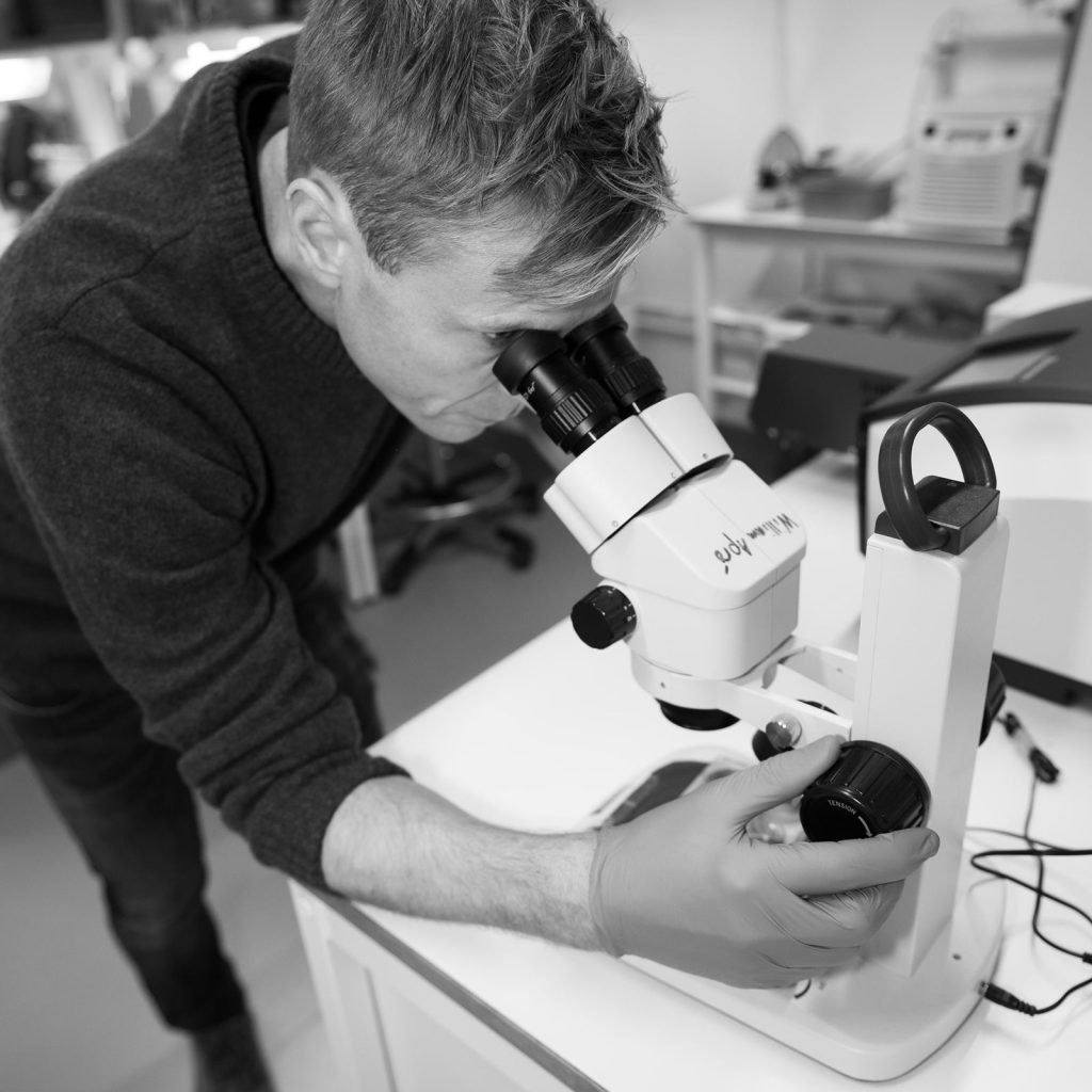 La ciencia detrás de Nomio: isotiocianatos y la vía NRF2