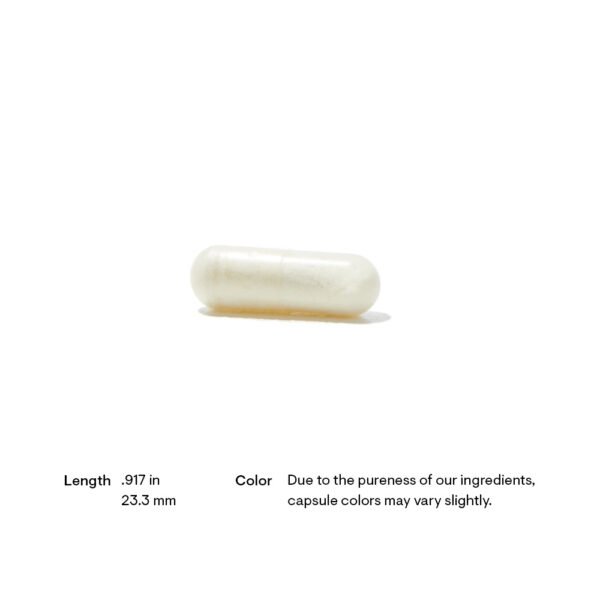 Thorne Advanced Digestive Enzymes — en mano